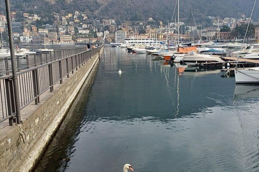 Lake Como and Switzerland: Bellagio & Lugano Tour With Boat Ride 2