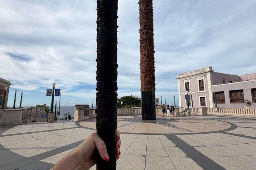 A hand holding a pole, palm trees, a building, and a paved walkway. 5