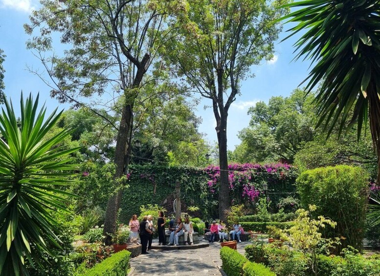 A garden with a central pathway, surrounded by lush greenery and flowering plants. 5