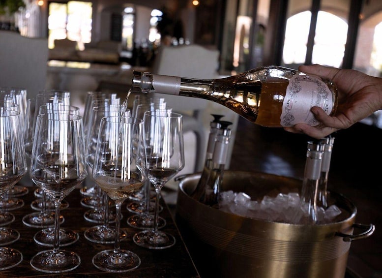 Picture 7 for Activity Paso Robles: 3 Wineries Tour with Picnic Lunch and Tasting 5