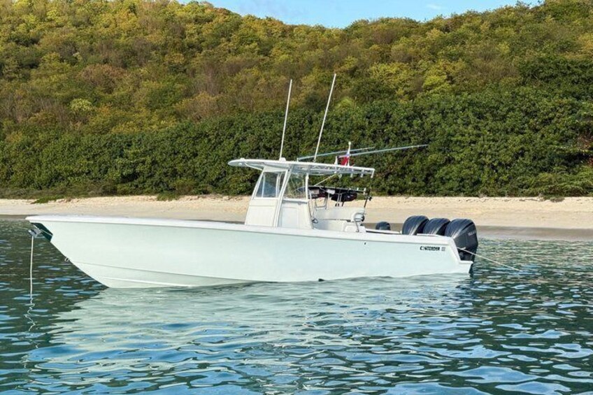 Private Full Day Snorkeling and Beach in Culebra or Vieques 1