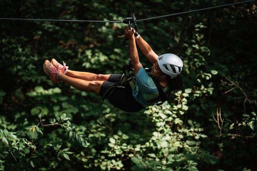 A person zip-lining through a forest. 2