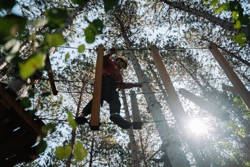 Zipline and Aerial Game Trek Activity in Ganaraska 2