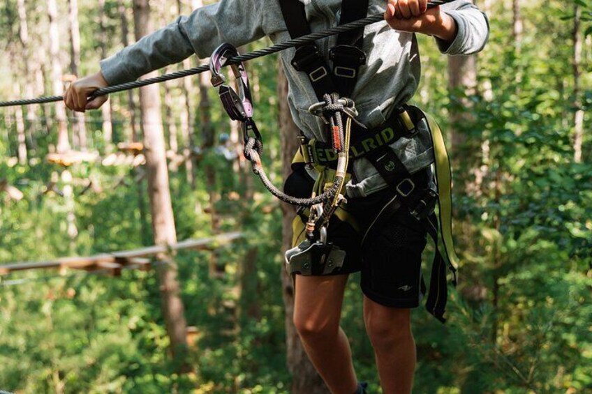 Zipline and Aerial Game Trek Activity in Ganaraska 5