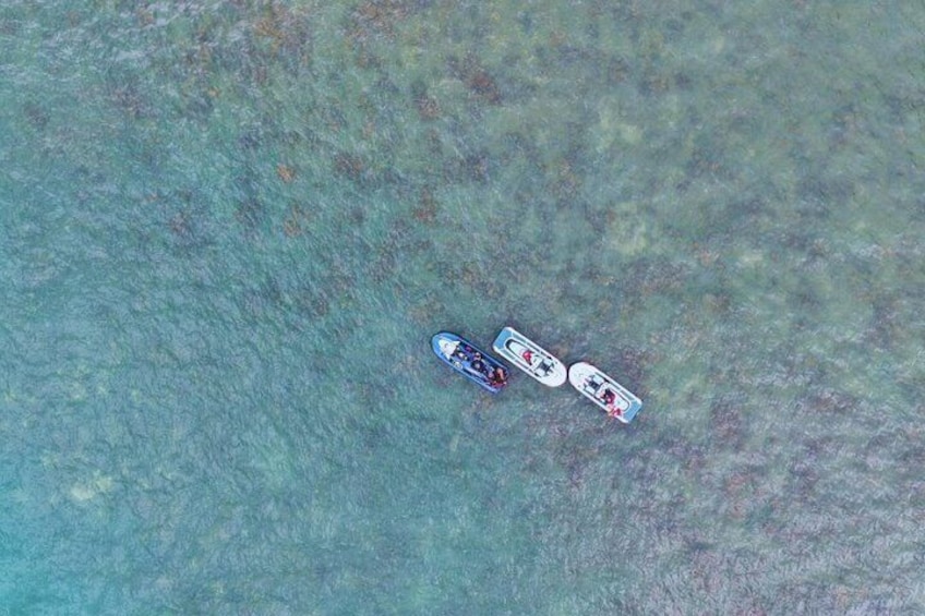 Kilim Mangrove Jetski Tour + Snorkeling 5