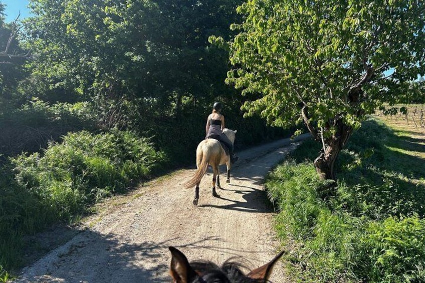 Horse Riding Tours in Central Portugal 1