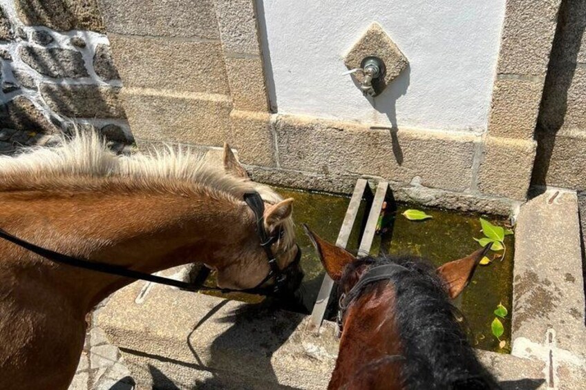 Horse Riding Tours in Central Portugal 3