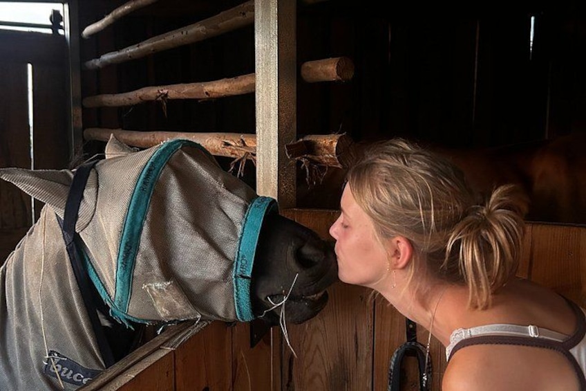 A person interacting with a horse in a stable. 5