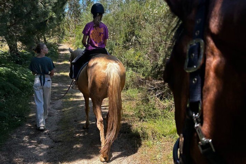 Horse Riding Tours in Central Portugal 4