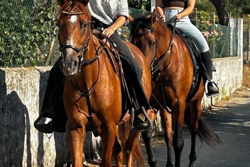 Two horses with riders on a paved road, surrounded by greenery and a stone wall. 1