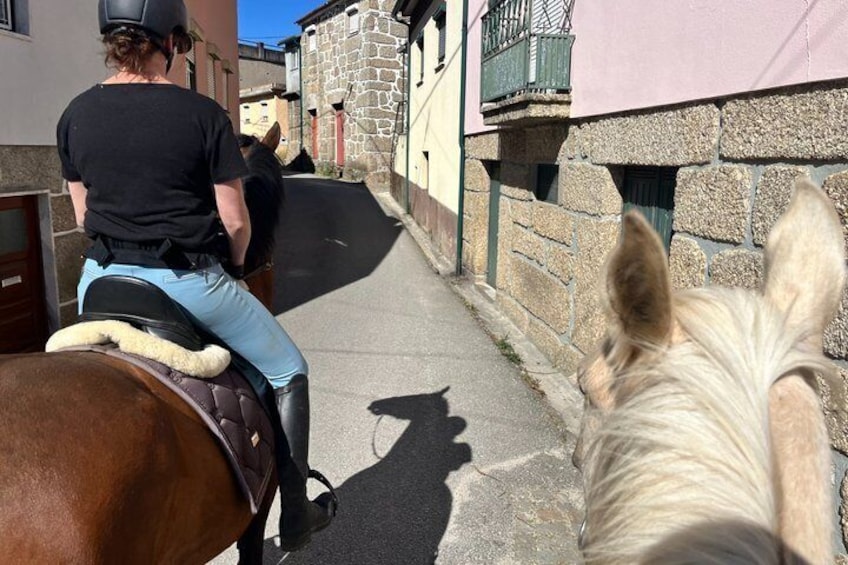 Horse Riding Tours in Central Portugal 3