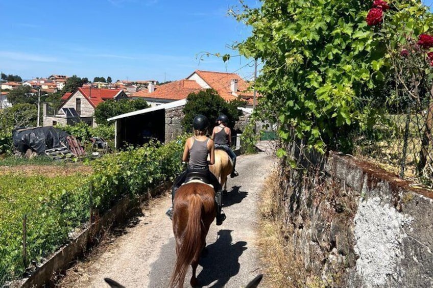 Horse Riding Tours in Central Portugal 1