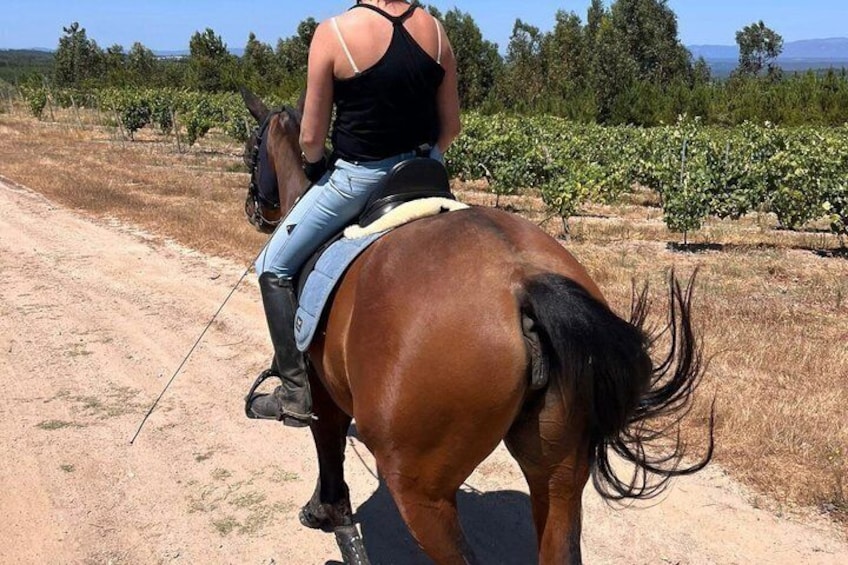 Horse Riding Tours in Central Portugal 2