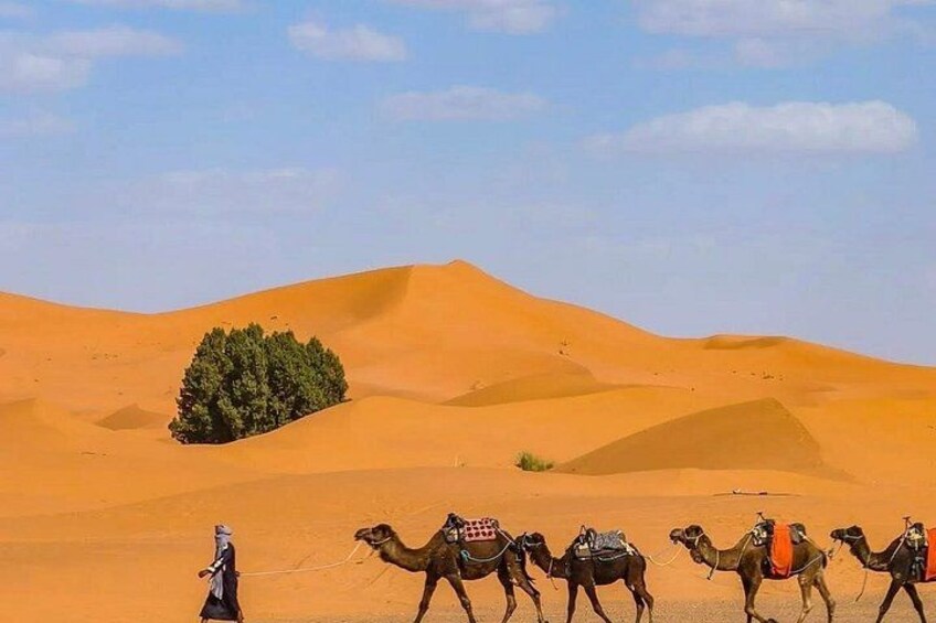 A desert landscape with sand dunes and a group of camels with riders. 2