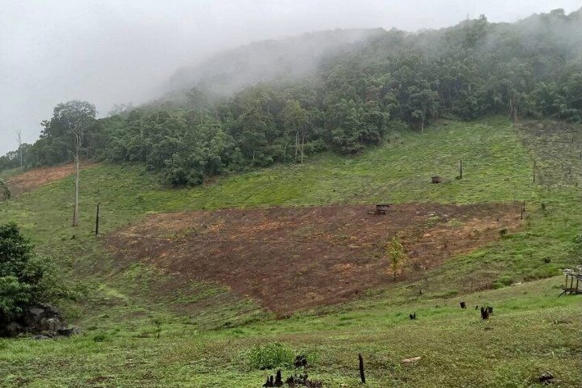 Full Day Pai Jungle Trek to Black Lahu Village and Suza Waterfall 5