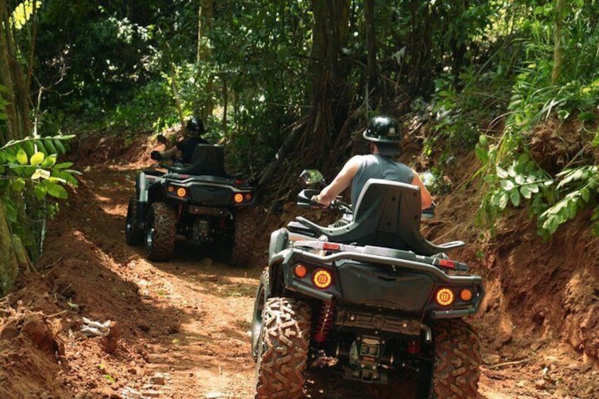 Toro ATV Adventure Tour in Orocovis, Puerto Rico 1