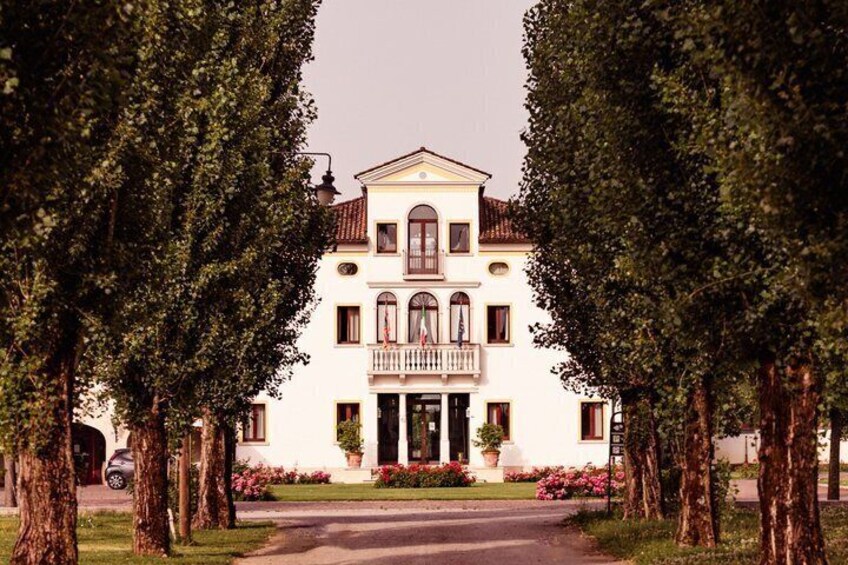 Sensorial Journey of Wine Flavors at Casa Paladin Winery 4