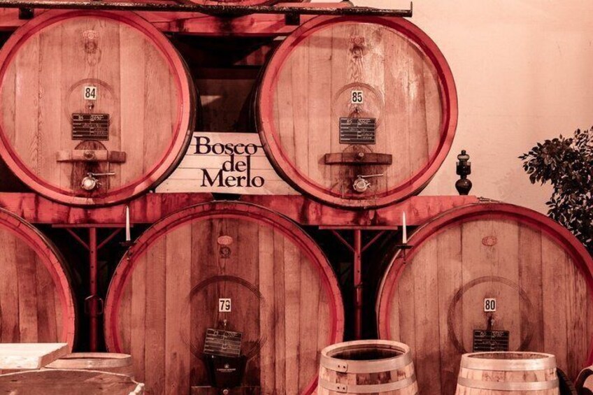 Sensorial Journey of Wine Flavors at Casa Paladin Winery 2