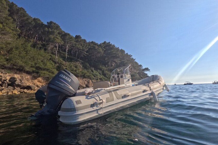 Private boat and snorkeling tour in Saint Cyr sur Mer 4