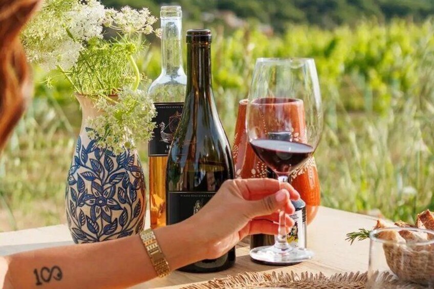 The Wine Safari Come Grape Hunting With Us 1