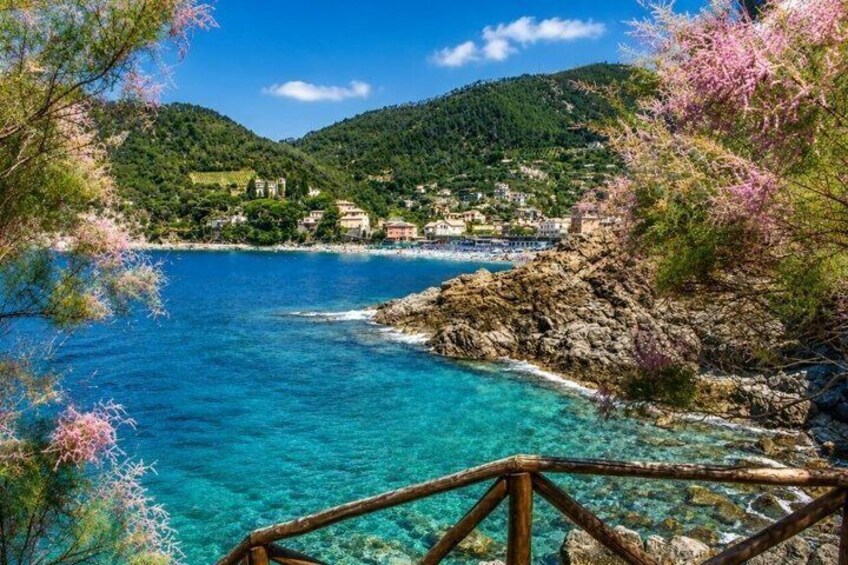 Levanto bike tour on the bike path of the Ligurian coast 3