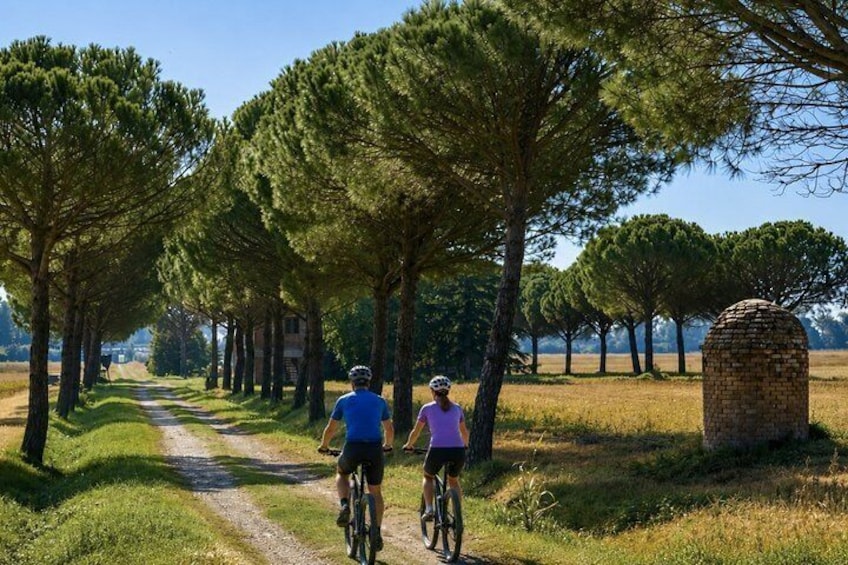 Argentario Orbetello and Porto Ercole Ebike tour Virtual guided 4