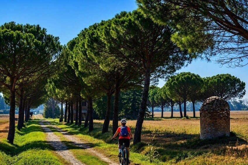 Argentario Orbetello and Porto Ercole Ebike tour Virtual guided 3