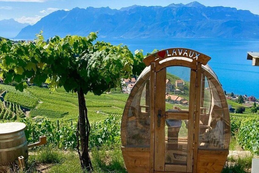 Lake Geneva Self-Guided Driving Audio Tour from Lausanne/Montreux 4