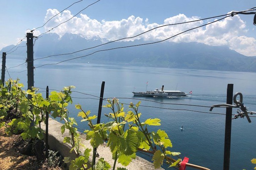 A lake with a ship, mountains in the background, and a fence with plants in the foreground. 2