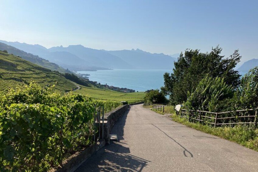 Switzerlands Scenic Audio Driving Tour Lavaux and Lake Geneva 3