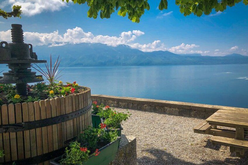 A wooden bench, a stone pathway, and a wooden planter with flowers by a lake. 4