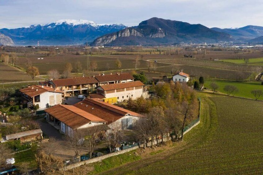 Tasting with winery visit in the heart of Franciacorta 4