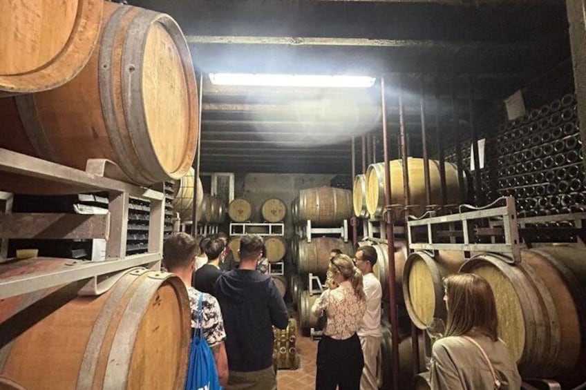 Tasting with winery visit in the heart of Franciacorta 5