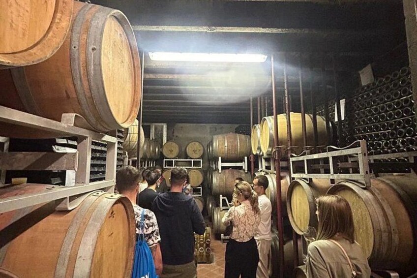Tasting with winery visit in the heart of Franciacorta 4