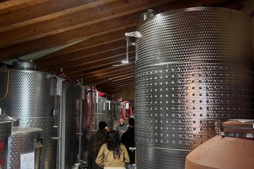 Tasting with winery visit in the heart of Franciacorta 5