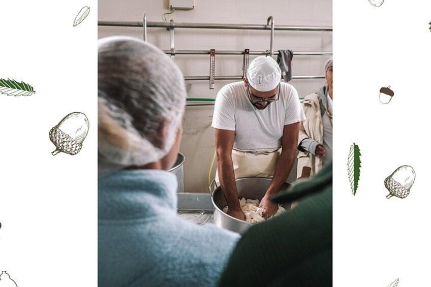 spinning of curd 2