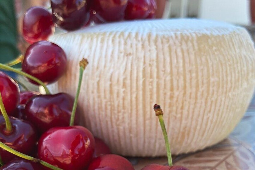 Caciotta with 3 milks 5