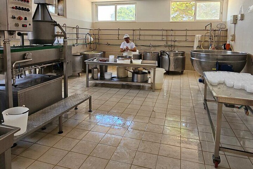 Dairy 3