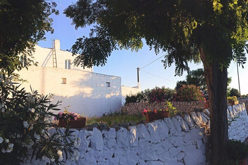 Un bâtiment blanc avec un mur en pierre, des plantes en fleurs et un arbre. 2