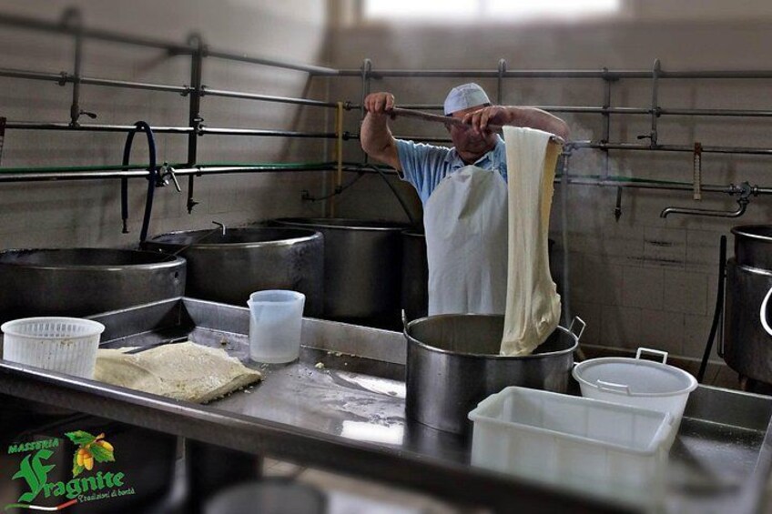 Mozzarella spinning 1
