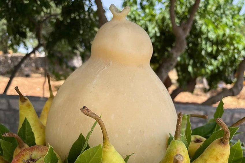 caciocavallo 3
