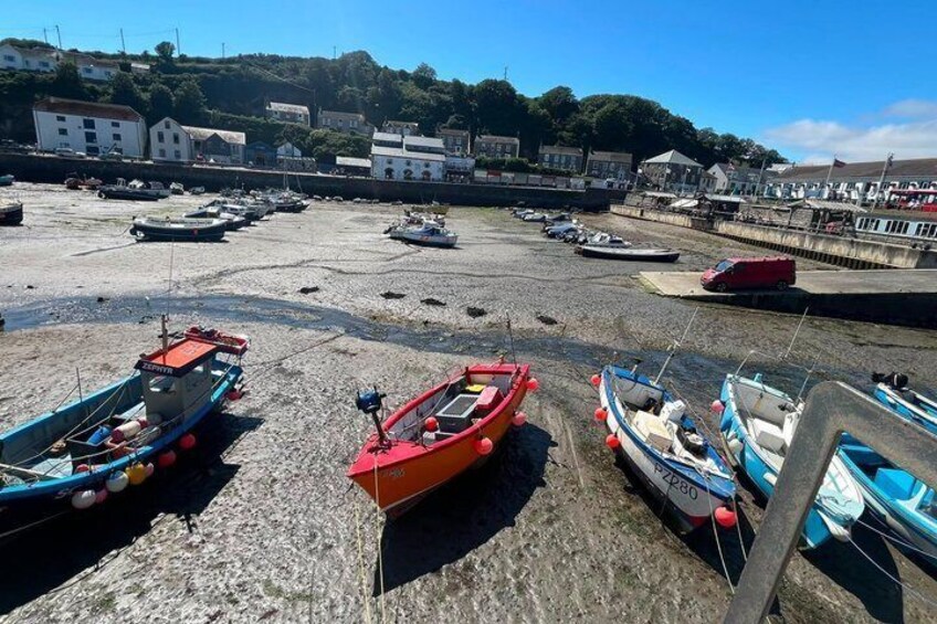 Falmouth, Cornwall and Lizard Peninsula Bespoke Private Tour 3