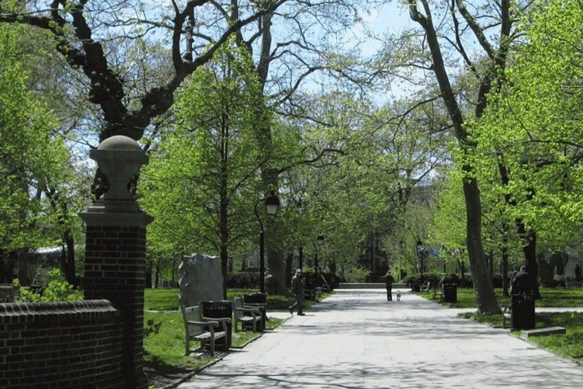 A park pathway lined with trees and benches. 3