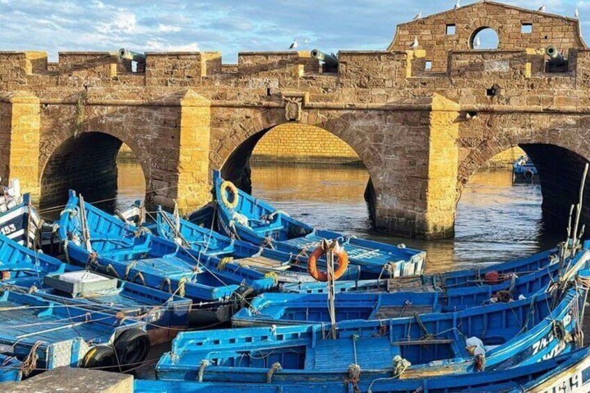 Full Day Trip from Marrakech to Essaouira with Free Time 1