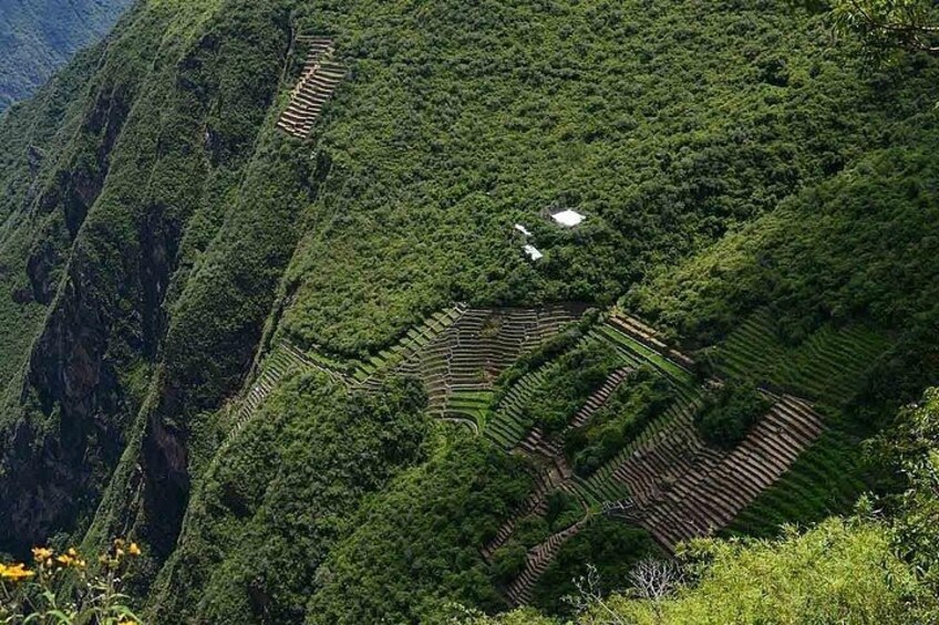 Terraced agricultural fields on a hillside. 1