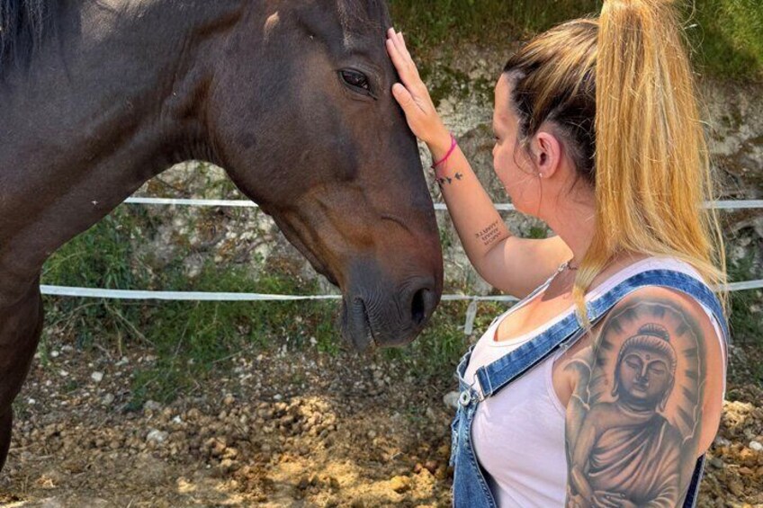 Equine Alchemy, Winery Visit and Wine Tasting in Penedès 1