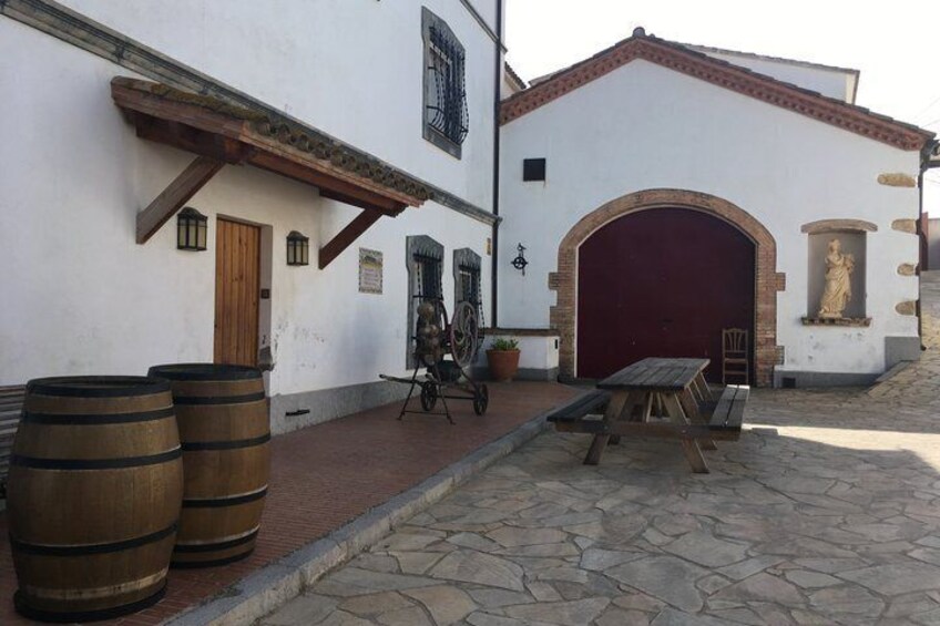 Equine Alchemy, Winery Visit and Wine Tasting in Penedès 3