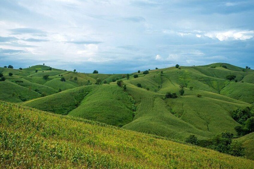 Rolling green hills with scattered trees under a cloudy sky. 5