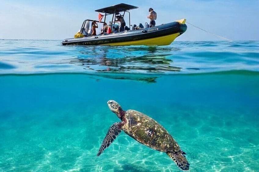 Waikiki Sunset Swim Adventure Private Boat Cruise 1
