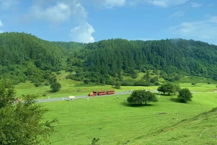 Wulong Day Trip Scenic Views Natural Bridges and Local Cuisine 1